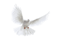 Biltzings Begravelser logo