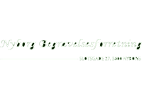 Nyborg Begravelsesforretning logo